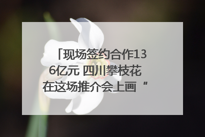 现场签约合作136亿元 四川攀枝花在这场推介会上画“图谱”列“清单”